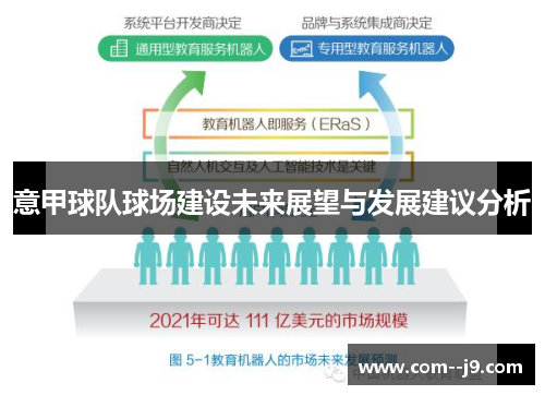 意甲球队球场建设未来展望与发展建议分析 意甲球队球场建设未来展望与发展建议分析