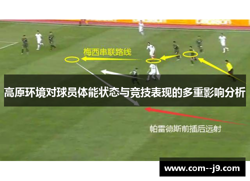 高原环境对球员体能状态与竞技表现的多重影响分析
