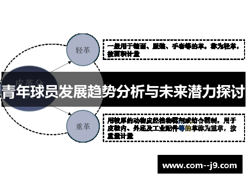 青年球员发展趋势分析与未来潜力探讨 青年球员发展趋势分析与未来潜力探讨